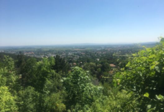 Kaiser Franz Josef Museum景点图片