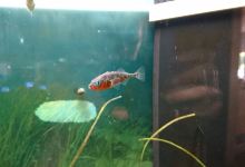 Nationalpark-Haus景点图片