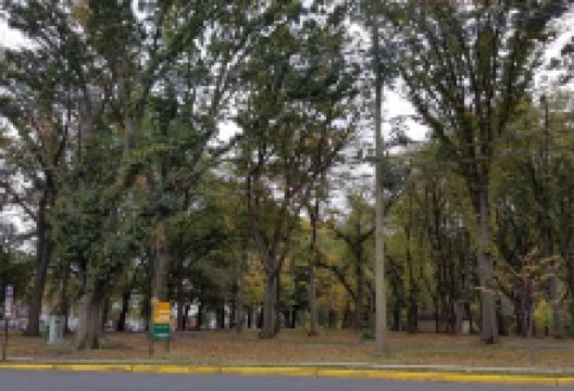 John Russell Wheeler Park景点图片