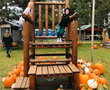 Pinehaven Farm