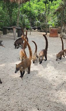 Cenote Azul-索里达瑞达德