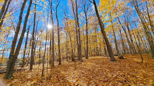 Morris Island Conservation Area