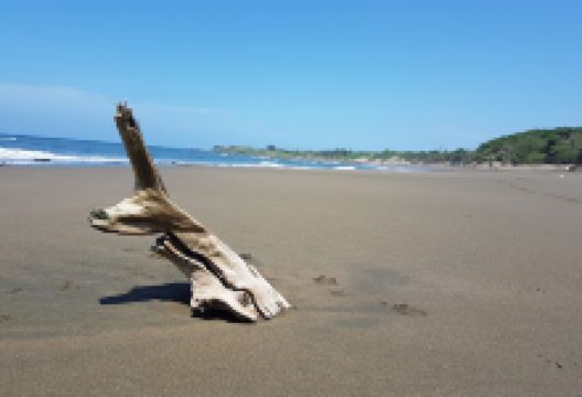 Parador Fotografico de Pedasí景点图片