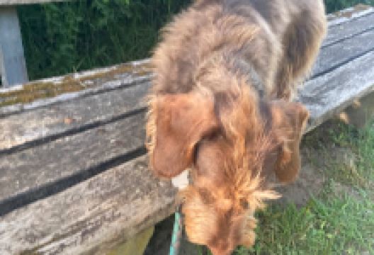 Lockhausen Wanderers Rast 6景点图片