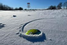 Harder Park景点图片