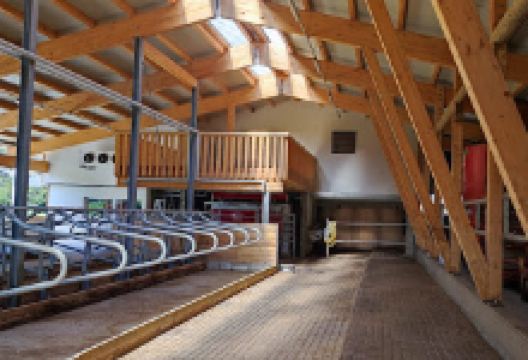 Azienda Agricola Piz Forca购物图片