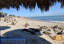 Chalet de la plage景点图片