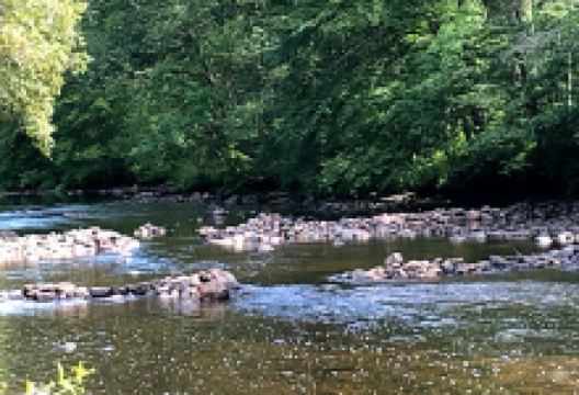 Cha-WI-MA Co-Op景点图片