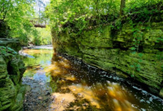 Lime Kiln Park景点图片