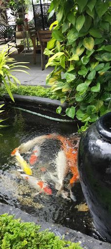 Cozy Garden-新加坡