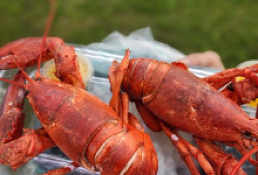 Camping Au Bord de la mer景点图片