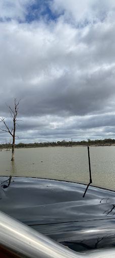 Kings Billabong-米尔迪拉