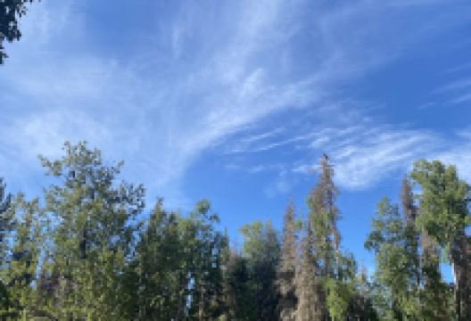 Russian River Falls Trailhead景点图片
