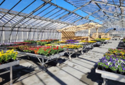 Jardinerie Desaules Horticulture购物图片