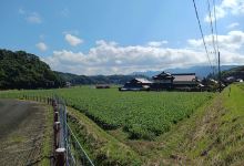 Hatanohara Kamaato景点图片