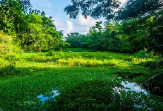 Body Ponds Nature Park景点图片