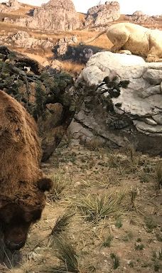 肖维岩洞-瓦隆蓬达尔克