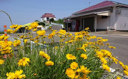 風之見山丘公園