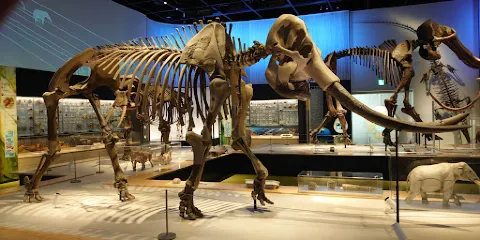 豊橋市自然史博物館