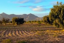 Sidi khlif景点图片