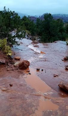 Dry Creek Vista-科科尼诺县