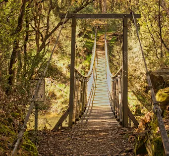 Canyon Walk