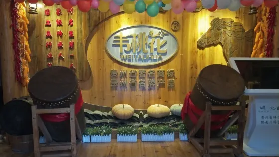 水族馬尾綉博物館