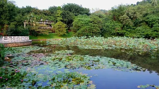 雲山公園