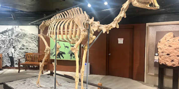 Raymond M. Alf Museum of Paleontology