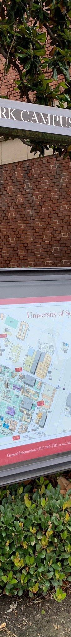 南加州大学-洛杉矶