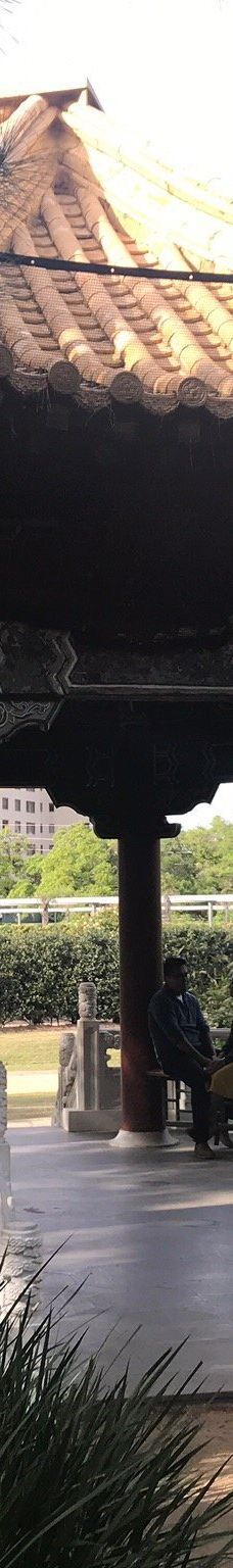 赫曼公园-休斯敦