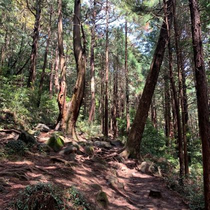 日本东京+千叶+茨城6日5晚私家团