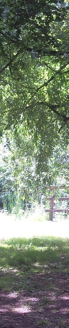 Parc des Gayeulles-雷恩