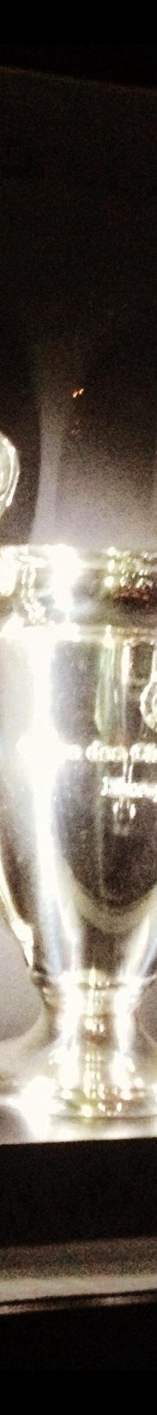 尤文图斯博物馆-都灵