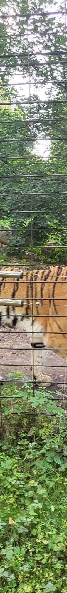 Chemnitz Zoo-开姆尼茨