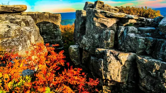 Dolly Sods Wilderness Area