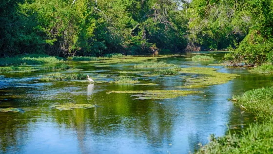 San Gabriel River