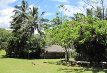 Arai-Te-Tonga景点图片