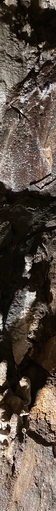 Ngarua Caves-Takaka Hill