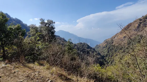 Jwalaji Temple (Benog Hill)
