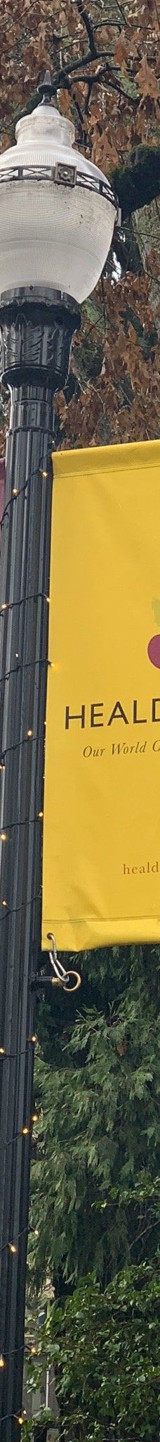 Healdsburg Plaza-希尔兹堡