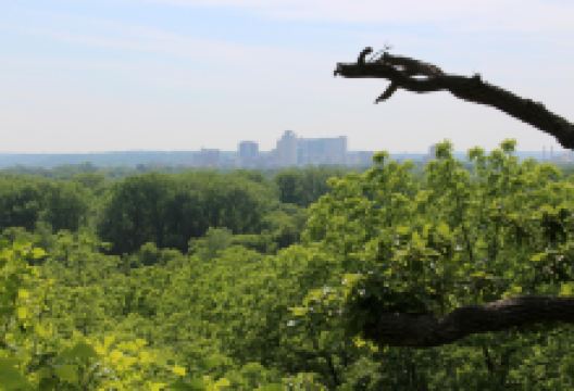 Quarry Hill Nature Center景点图片