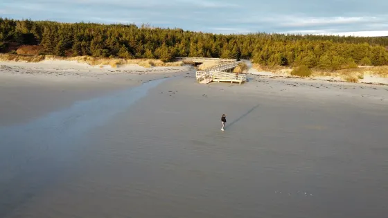 Clam Harbour Beach Provincial Park