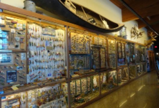 The Witt Stephens Jr. Central Arkansas Nature Center景点图片