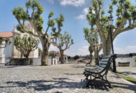 Terreiro do Paco Garden景点图片