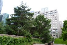 Parc Diderot景点图片