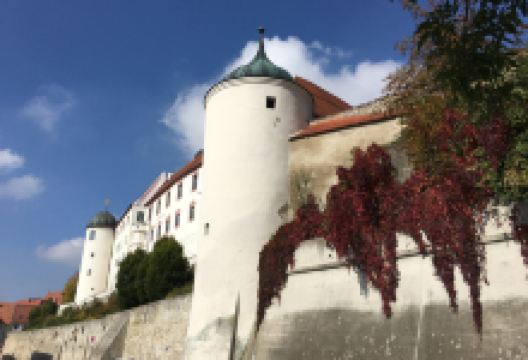 Schloss Dillingen an der Donau景点图片