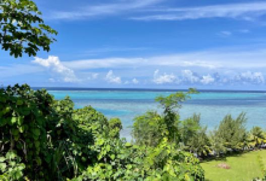 Musée du Coquillage景点图片