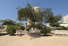 Sharjah Art Foundation Parking景点图片