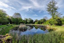 "Biotop Am Stausee" Nature Reserve景点图片